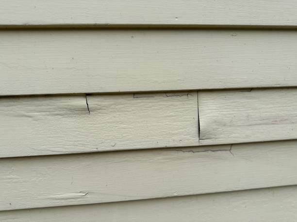 Best Siding Removal and Disposal  in Lwa, CA